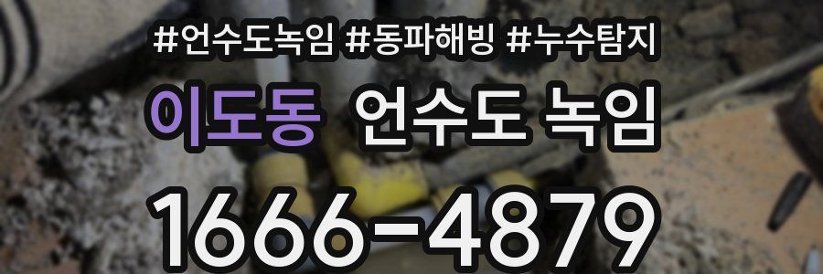 이도동 언수도 녹임