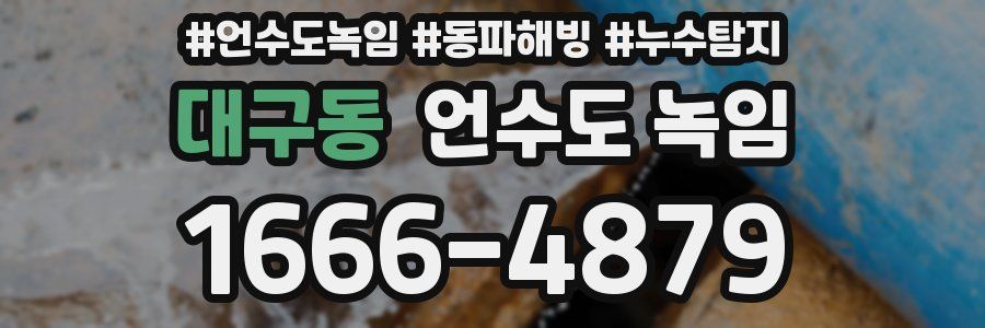 대구동 언수도 녹임