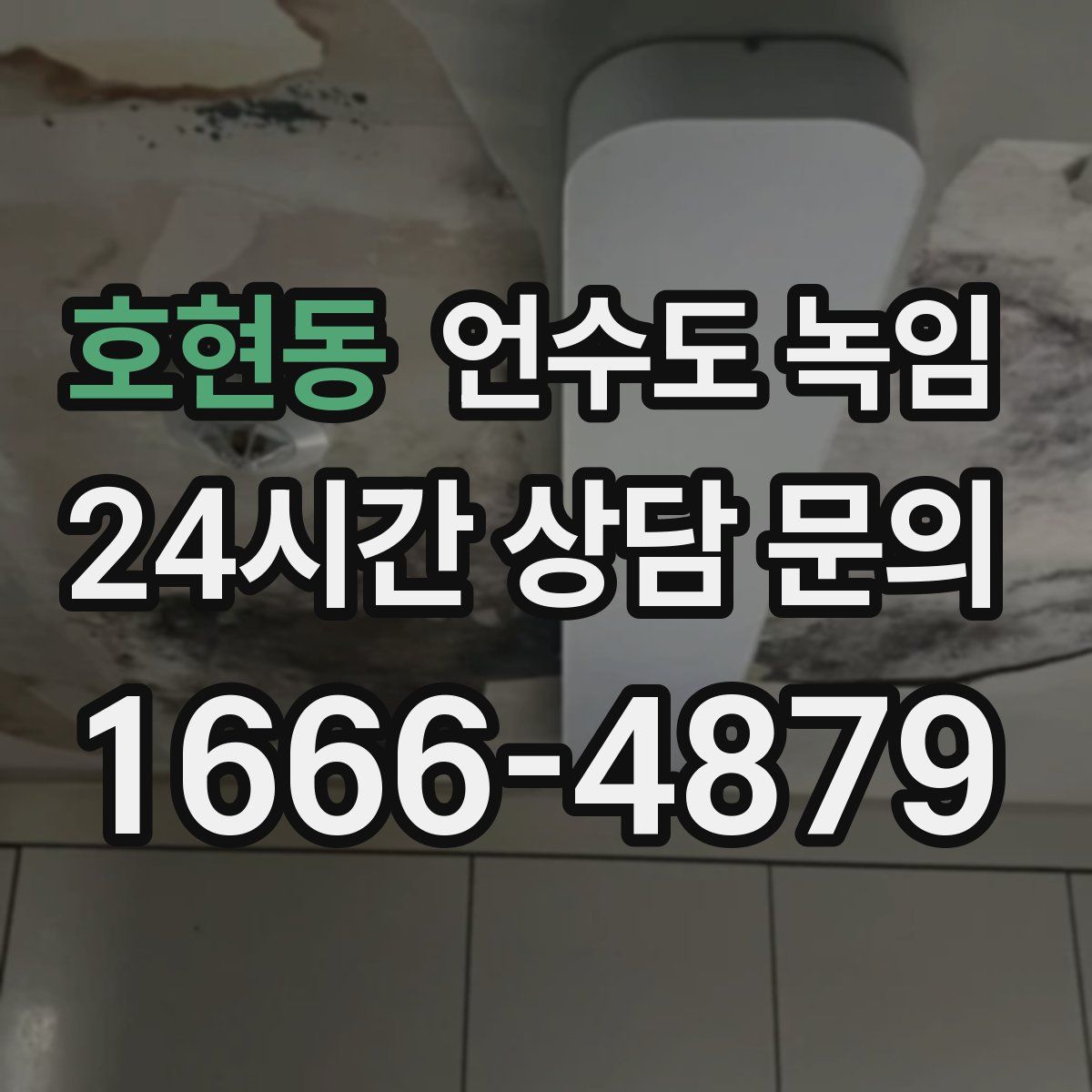 호현동 언수도 녹임