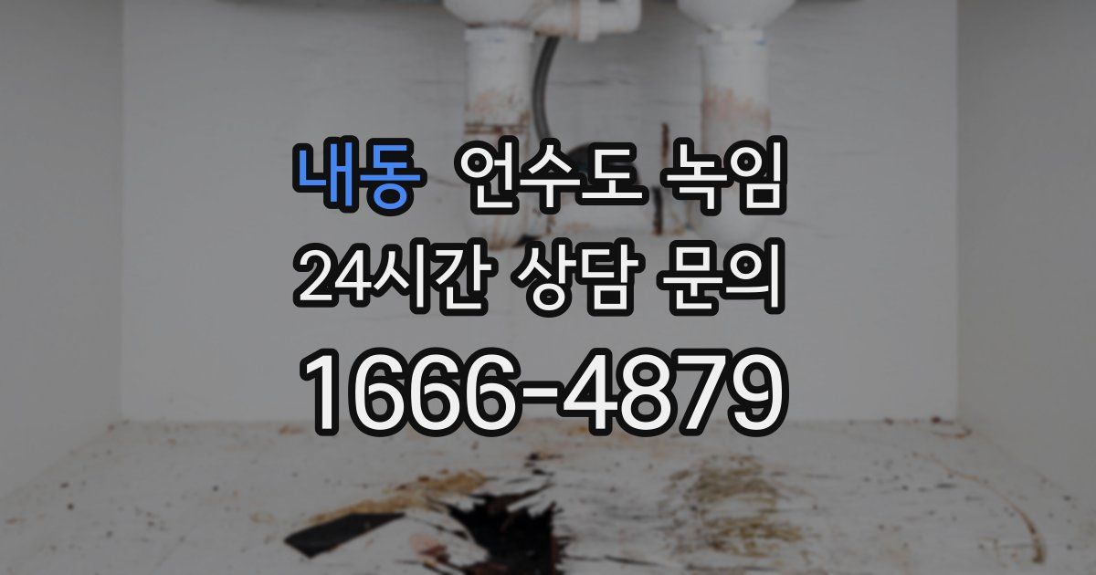 내동 언수도 녹임