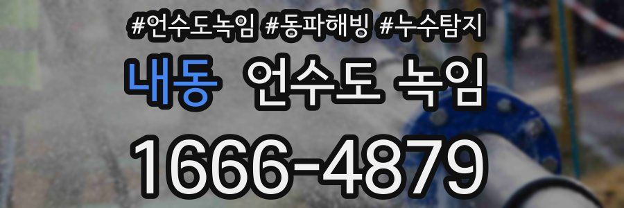 내동 언수도 녹임