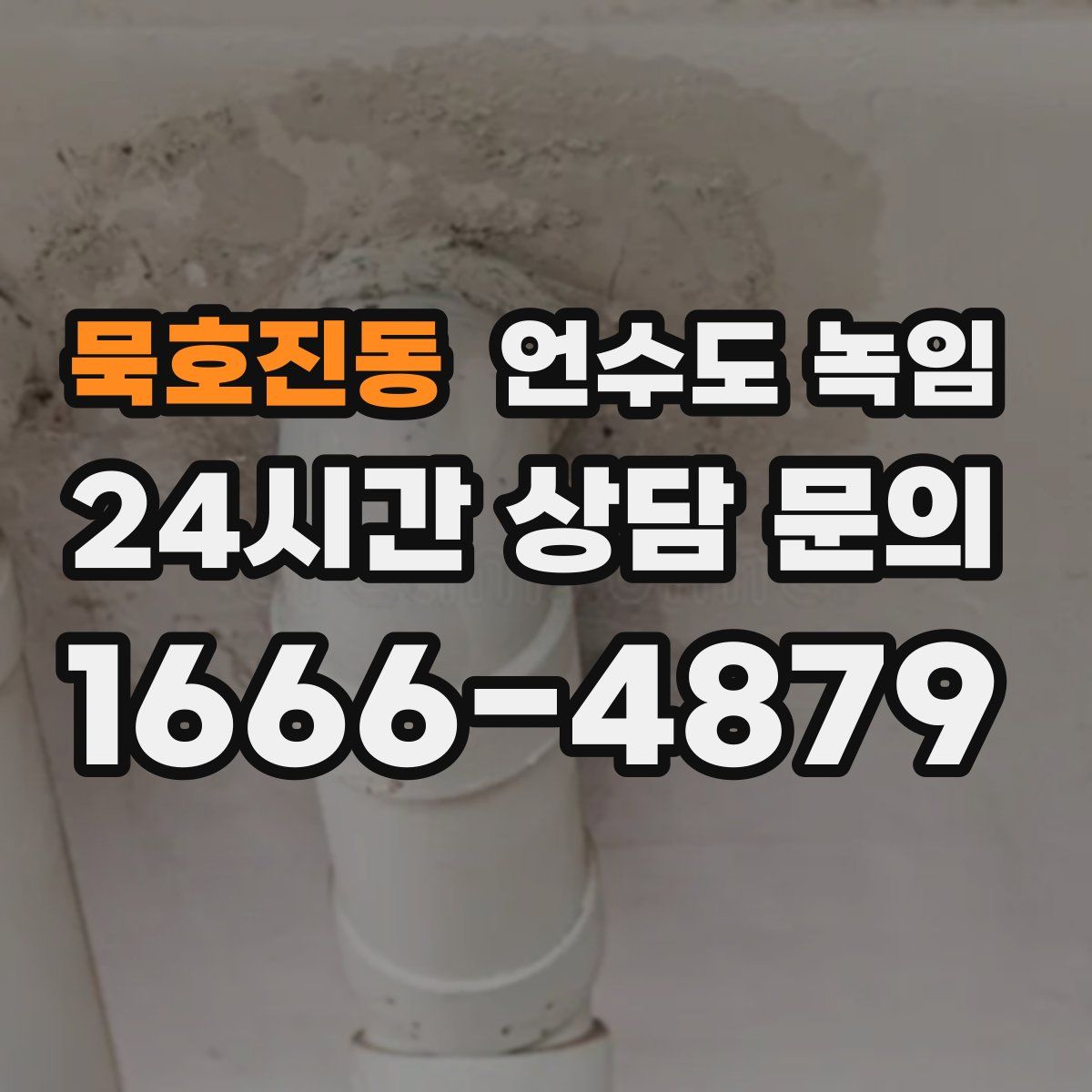 묵호진동 언수도 녹임