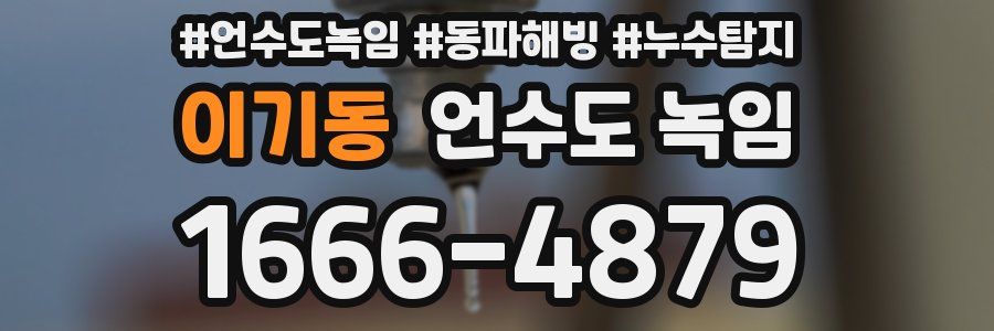 이기동 언수도 녹임