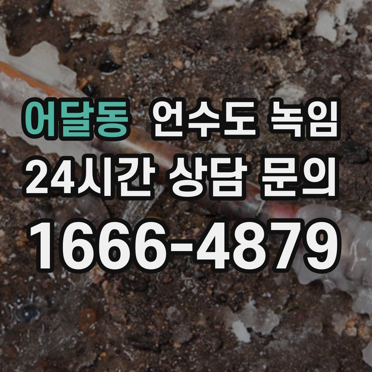 어달동 언수도 녹임