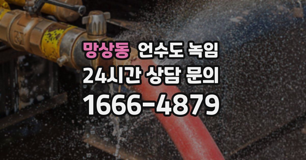 망상동 언수도 녹임