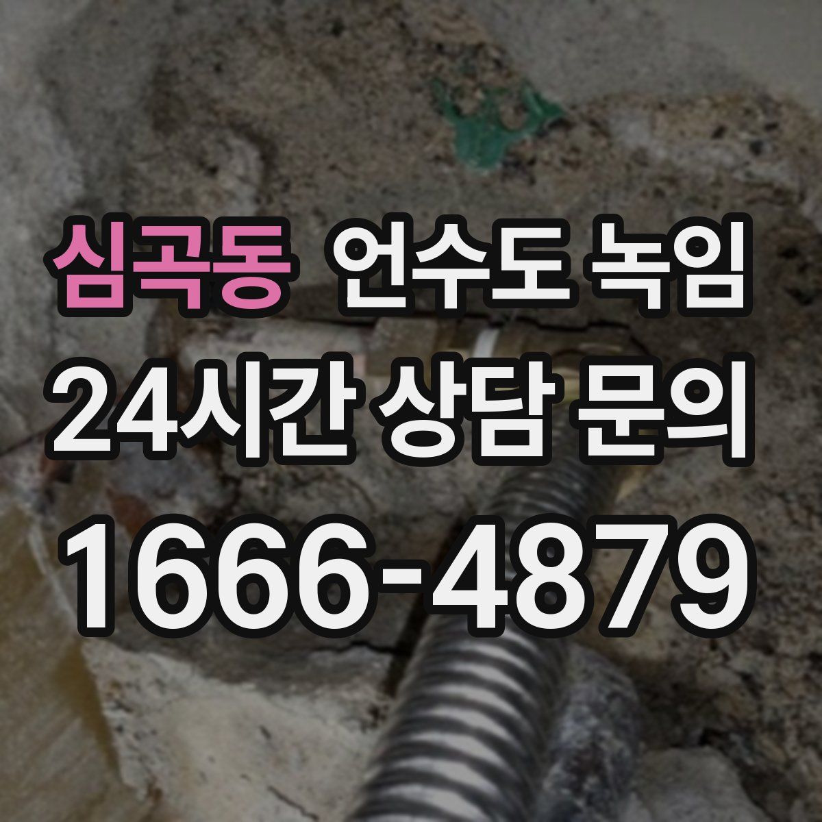 심곡동 언수도 녹임