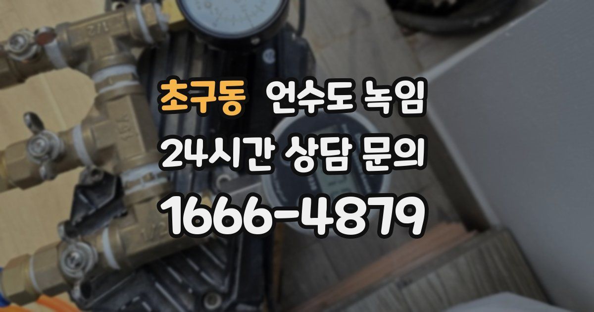 초구동 언수도 녹임