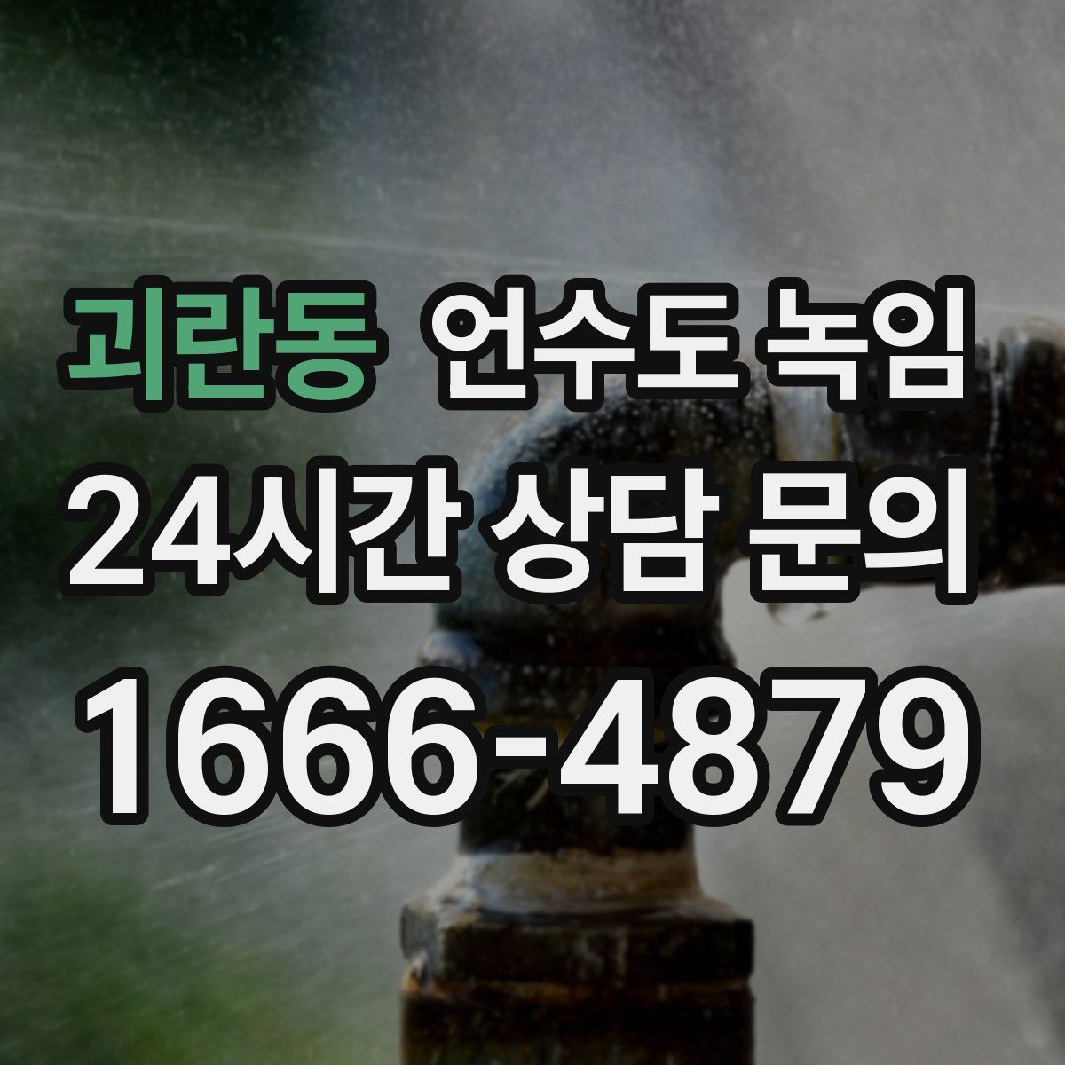 괴란동 언수도 녹임