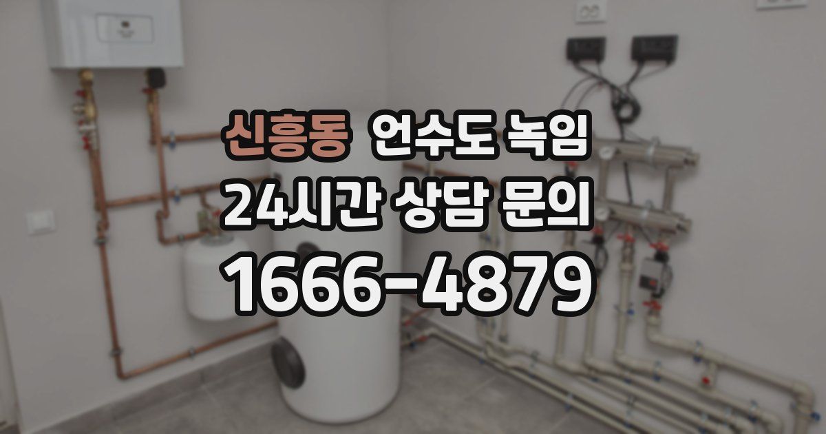 신흥동 언수도 녹임