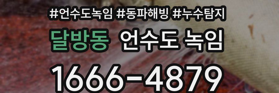 달방동 언수도 녹임