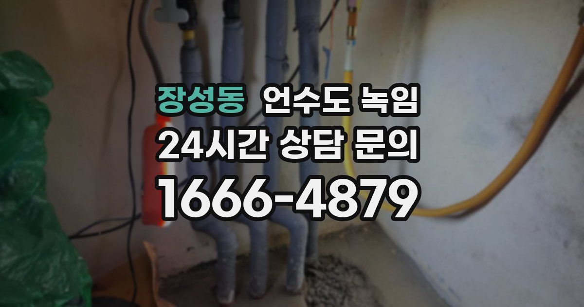 장성동 언수도 녹임