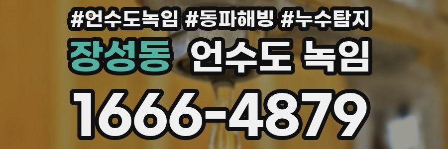 장성동 언수도 녹임