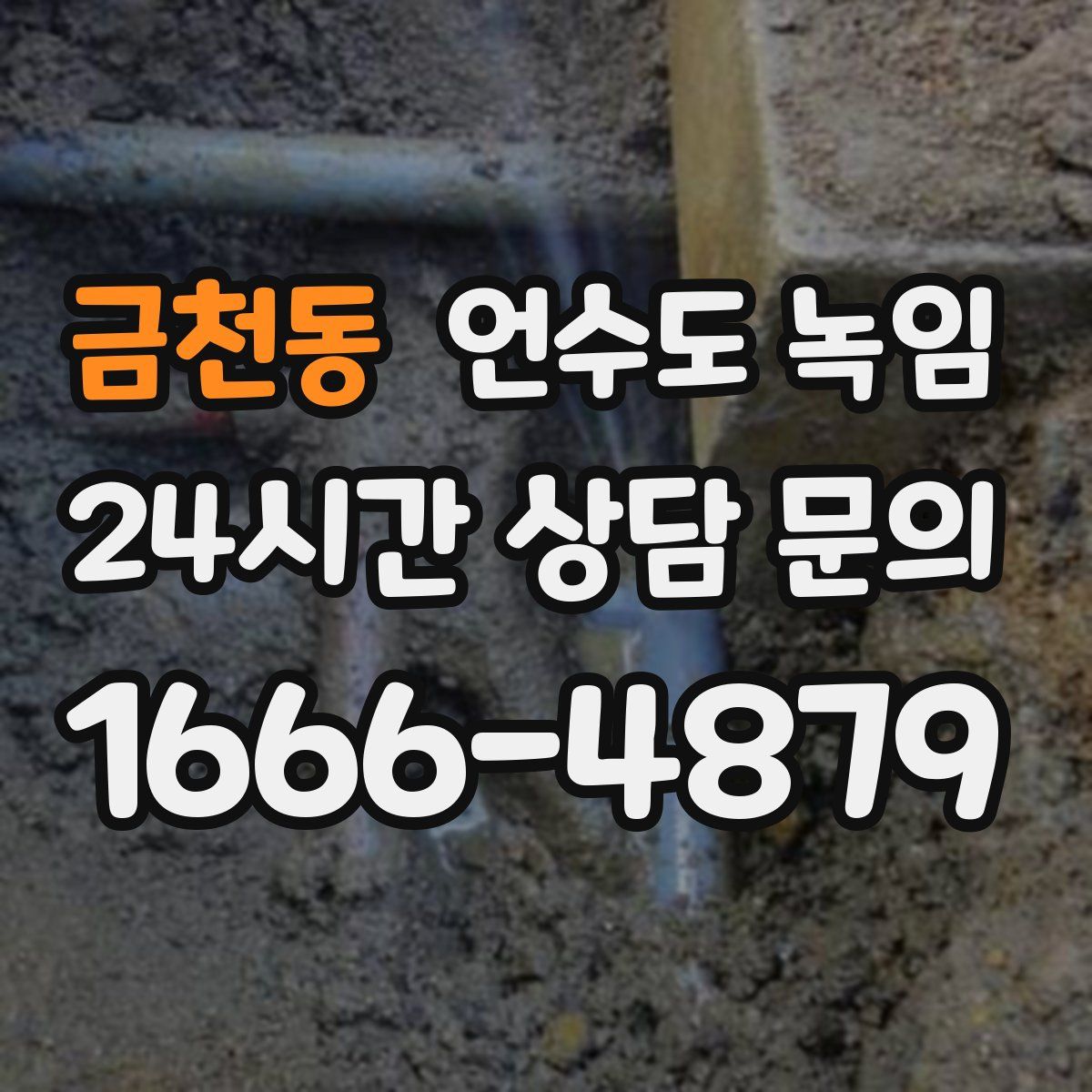 금천동 언수도 녹임