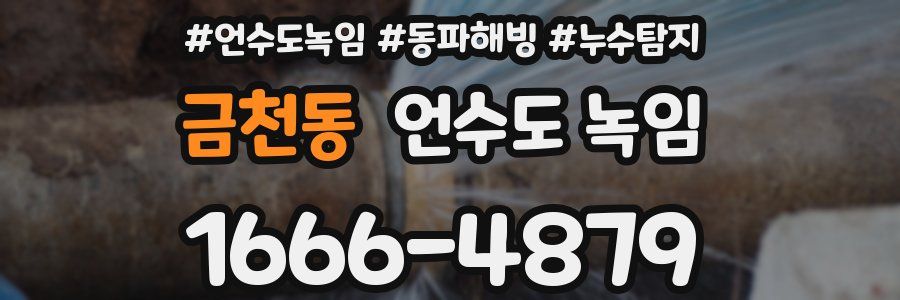 금천동 언수도 녹임