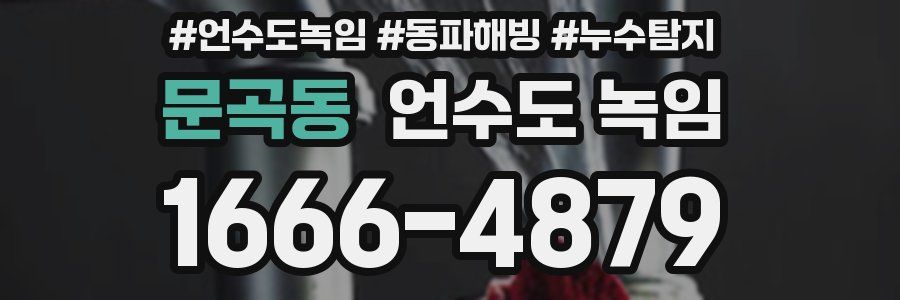 문곡동 언수도 녹임