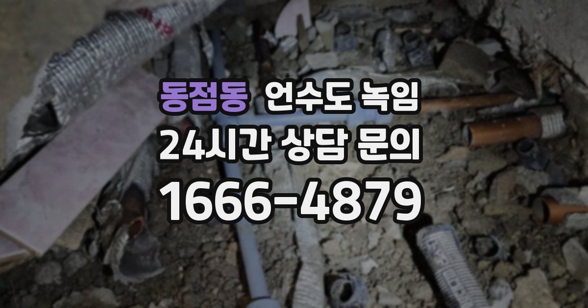 동점동 언수도 녹임