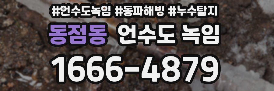 동점동 언수도 녹임