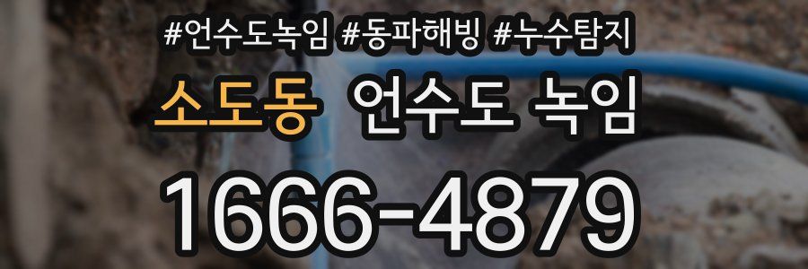 소도동 언수도 녹임