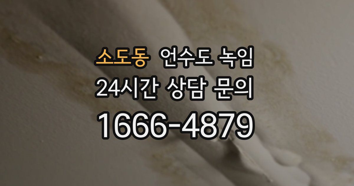 소도동 언수도 녹임