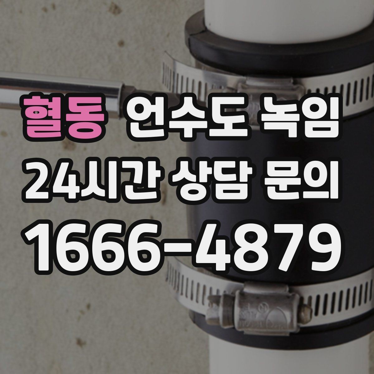 혈동 언수도 녹임 특정 수전만 안 나오면 배관 위치부터 확인
