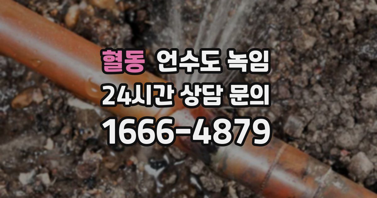 혈동 언수도 녹임