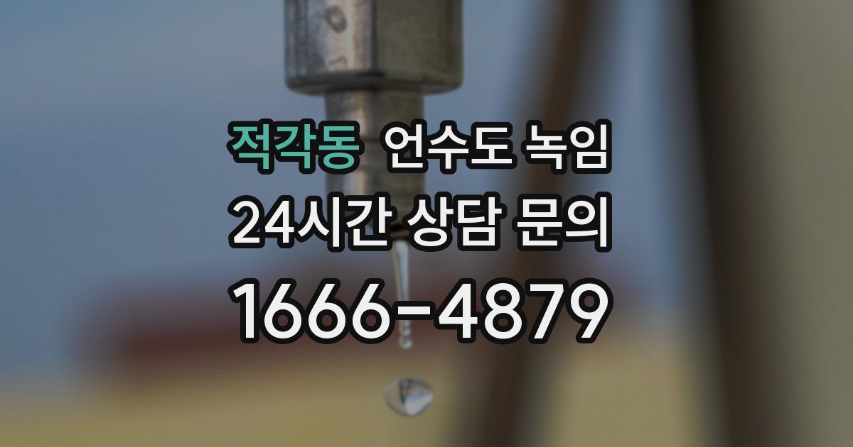 적각동 언수도 녹임
