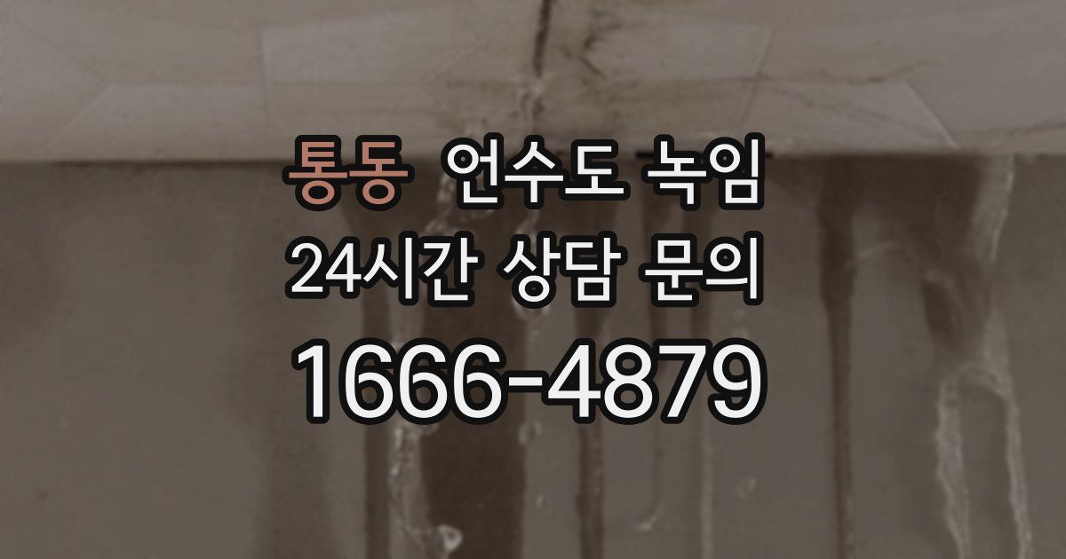 통동 언수도 녹임