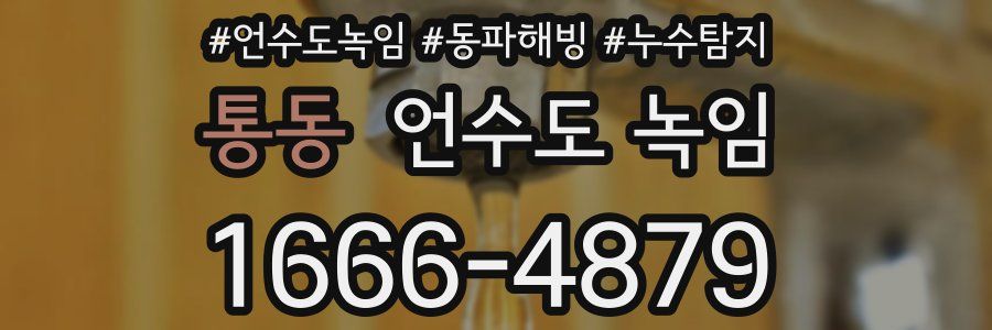 통동 언수도 녹임