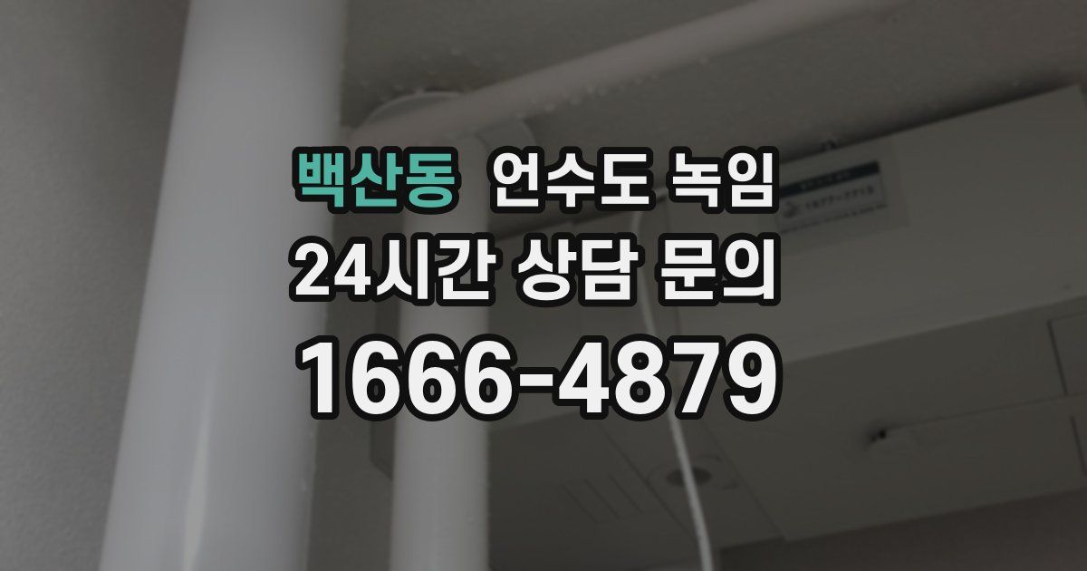 백산동 언수도 녹임