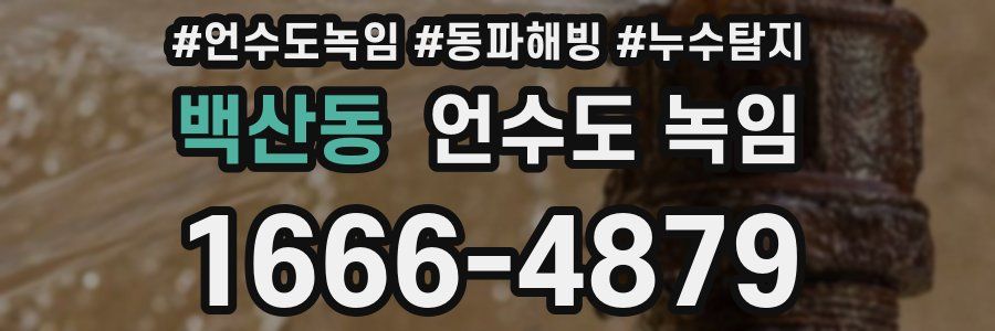 백산동 언수도 녹임