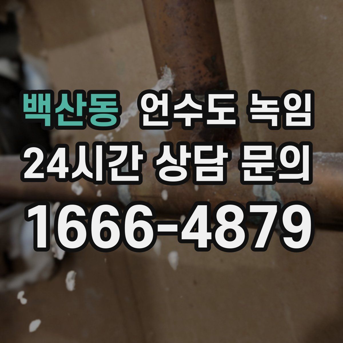 백산동 언수도 녹임