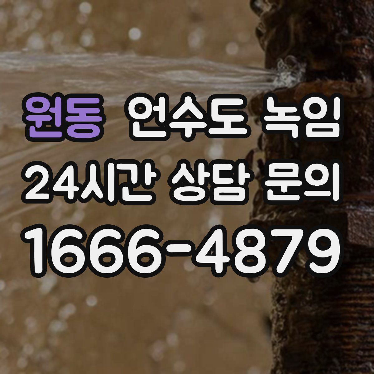 원동 언수도 녹임