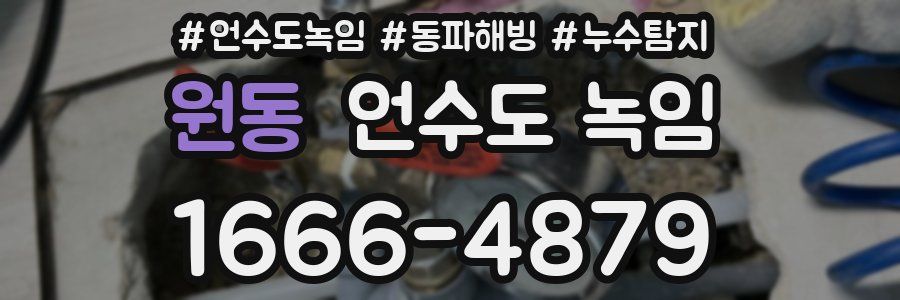 원동 언수도 녹임