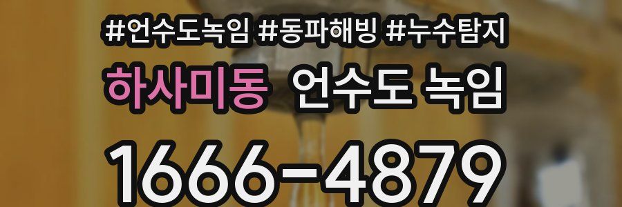 하사미동 언수도 녹임