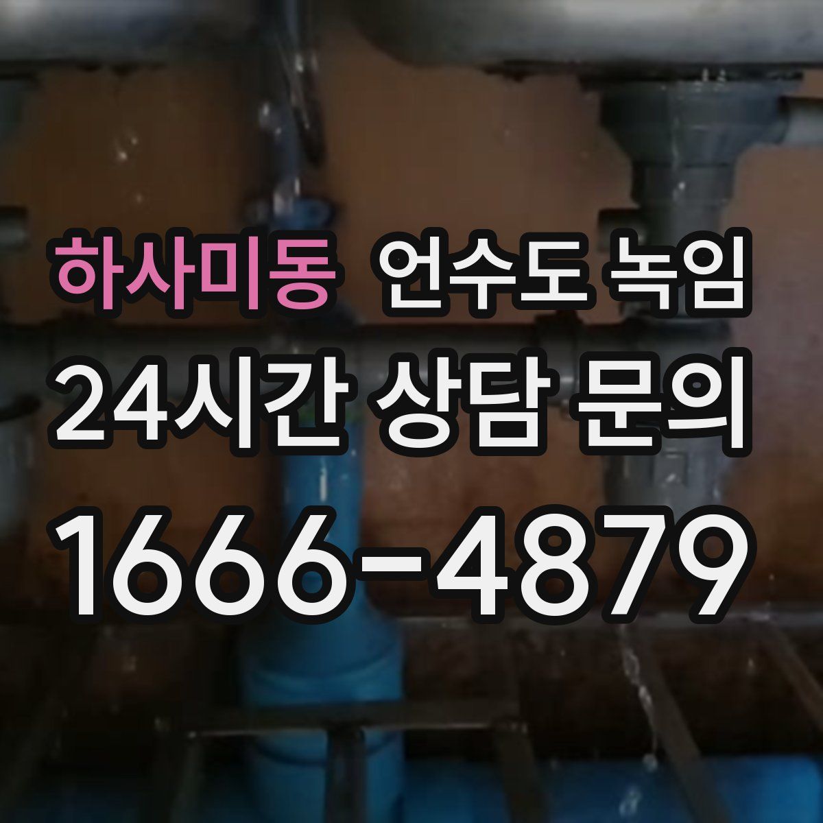 하사미동 언수도 녹임