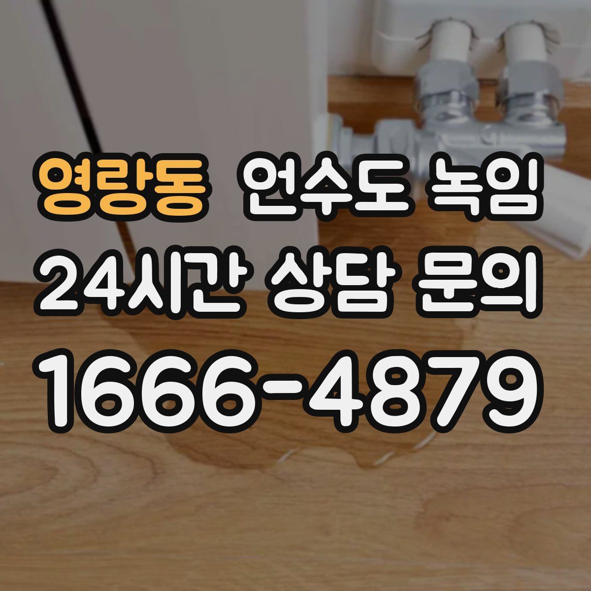 영랑동 언수도 녹임