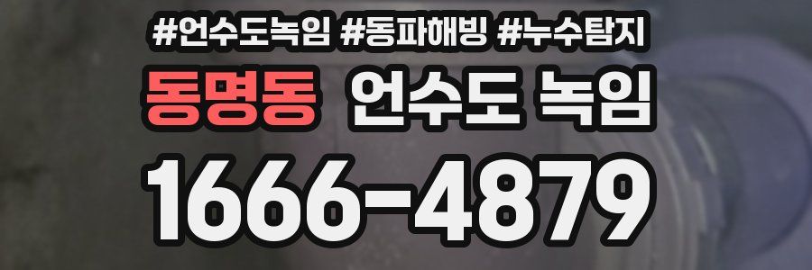 동명동 언수도 녹임