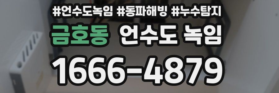 금호동 언수도 녹임