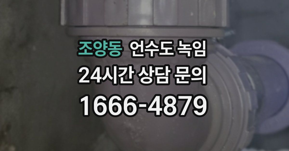 조양동 언수도 녹임