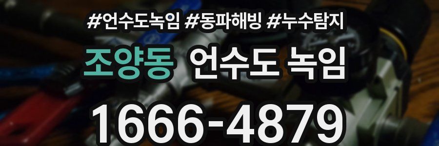 조양동 언수도 녹임