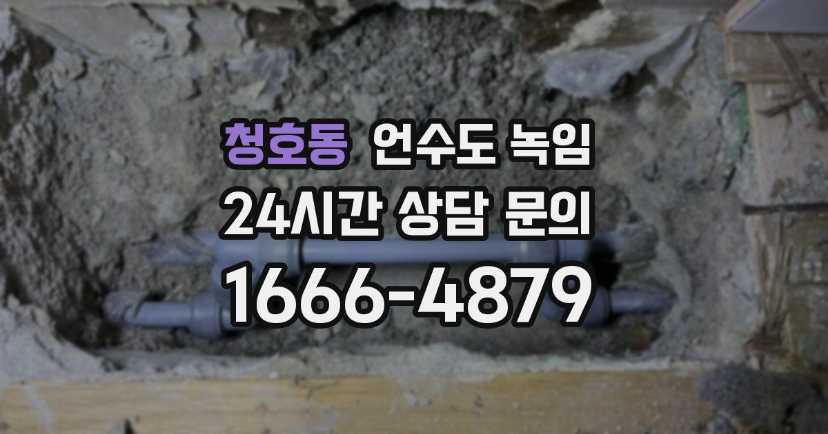 청호동 언수도 녹임