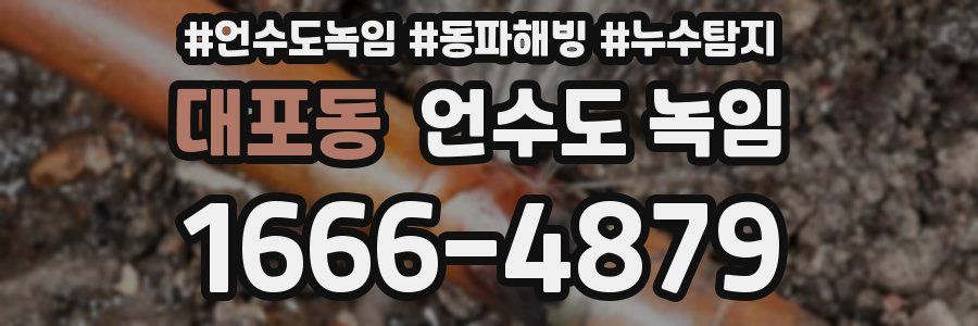 대포동 언수도 녹임