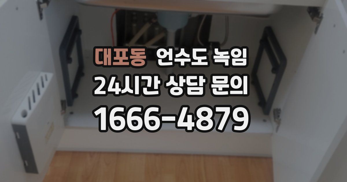 대포동 언수도 녹임