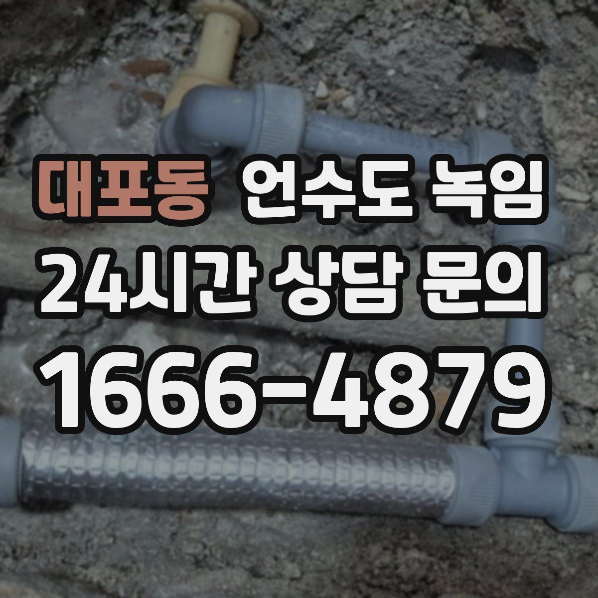 대포동 언수도 녹임