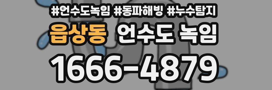 읍상동 언수도 녹임