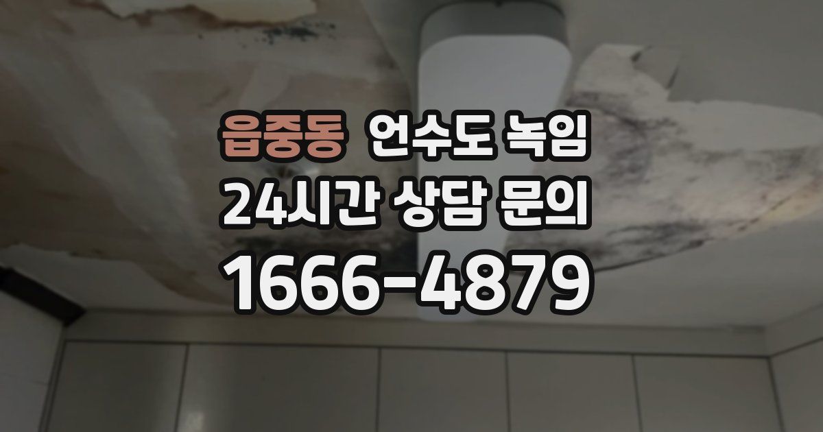 읍중동 언수도 녹임