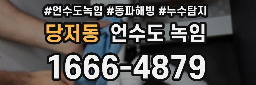 당저동 언수도 녹임