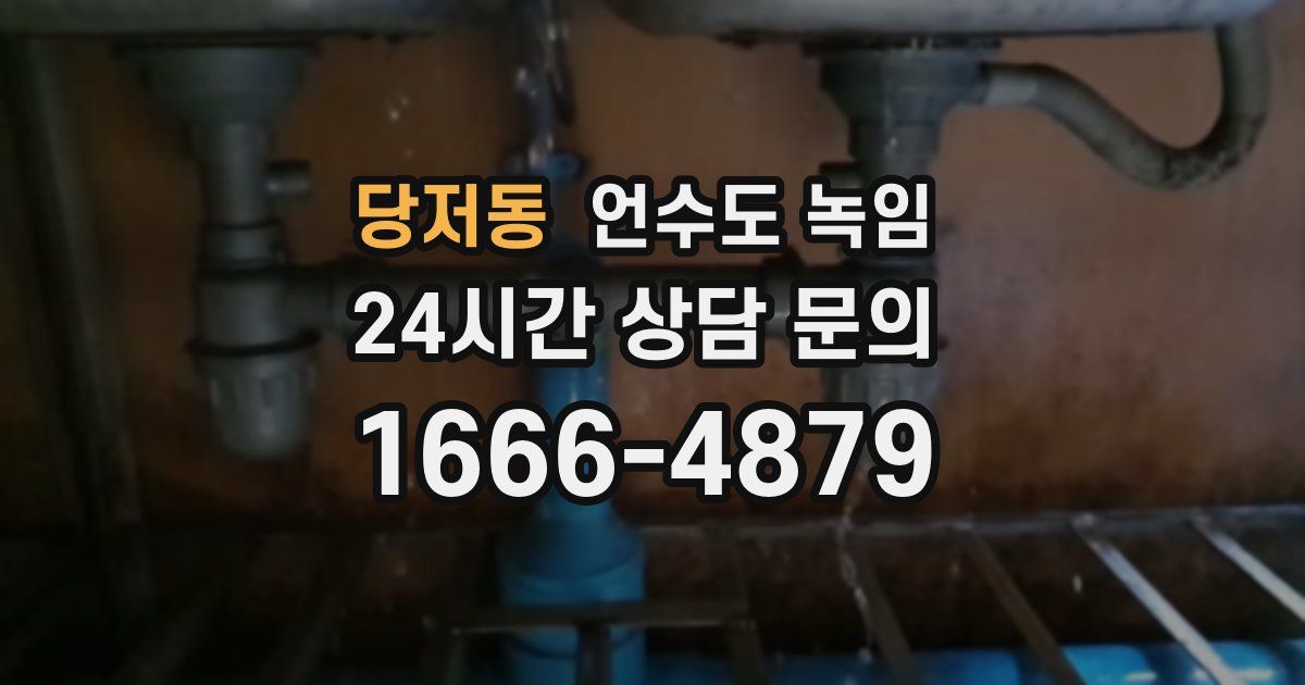 당저동 언수도 녹임