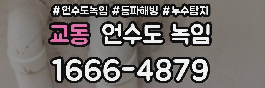 교동 언수도 녹임