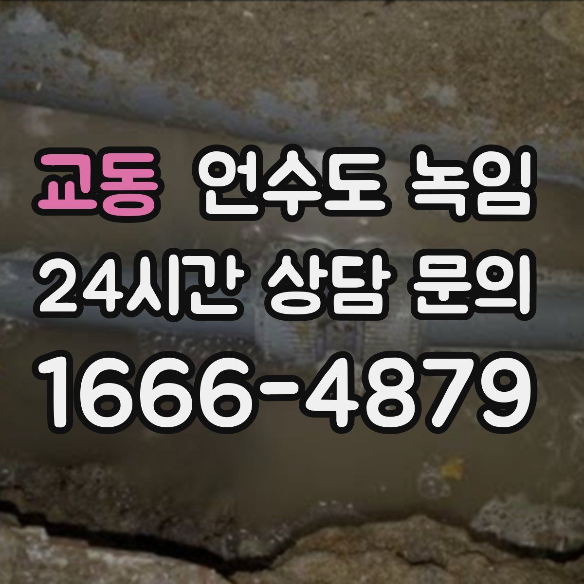 교동 언수도 녹임